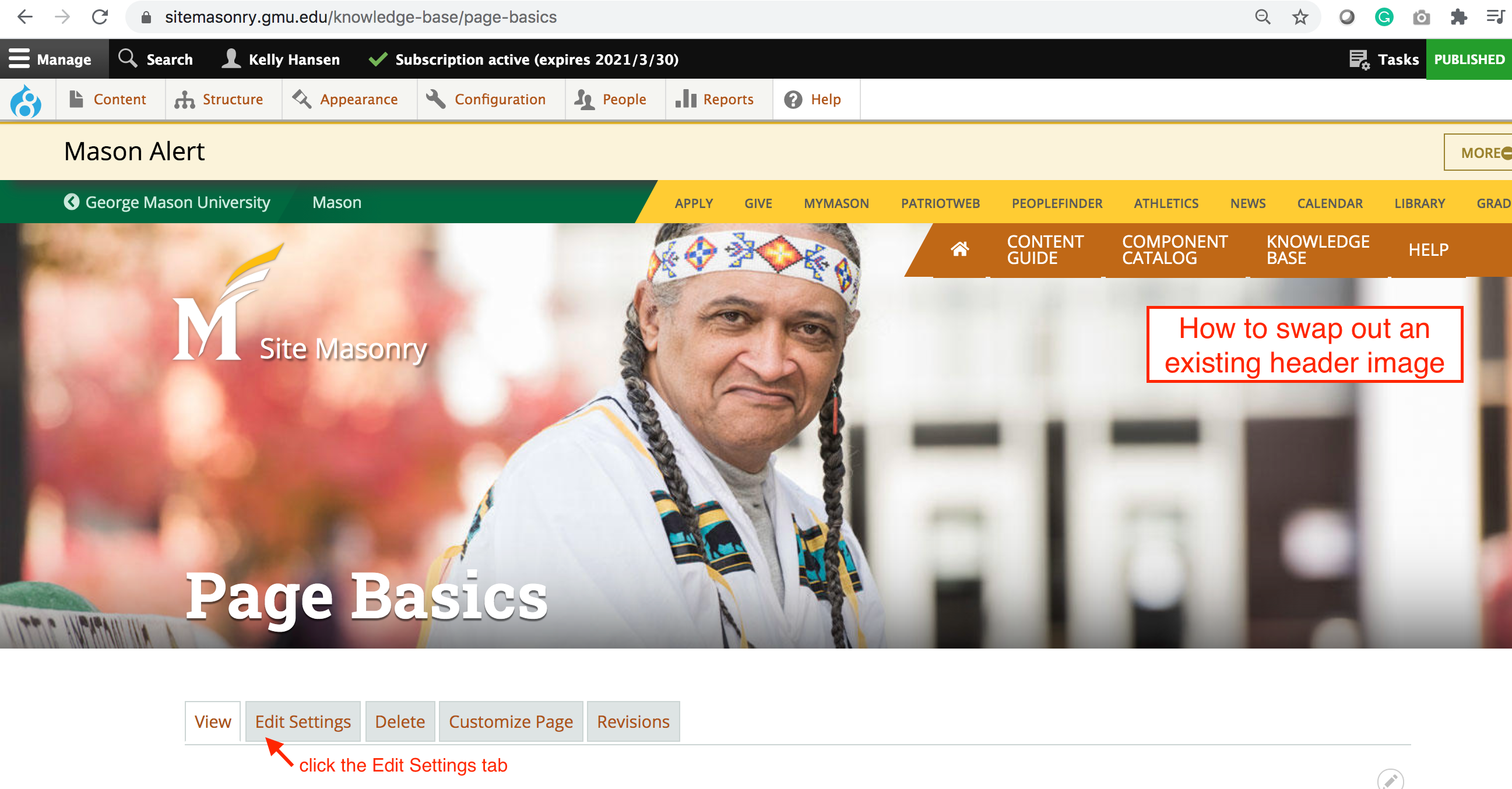 How to swap out an existing header image