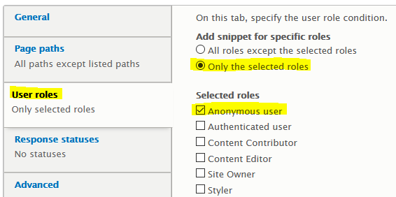 Screenshot of the User Roles tab of the Google Tag Manager configuration screen