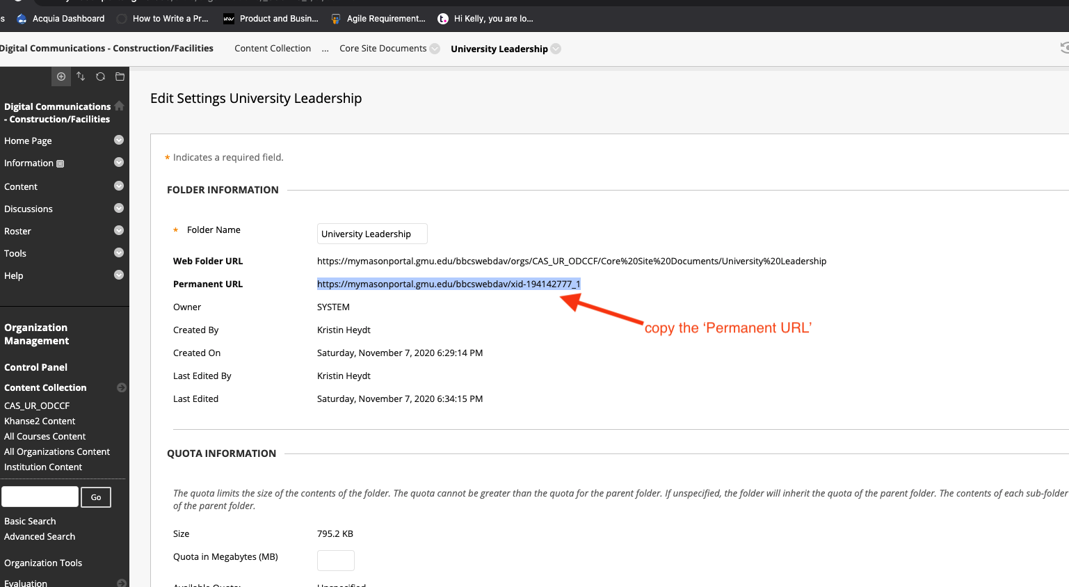 In Blackboard, you can find the document's permanent URL on the Edit Settings screen